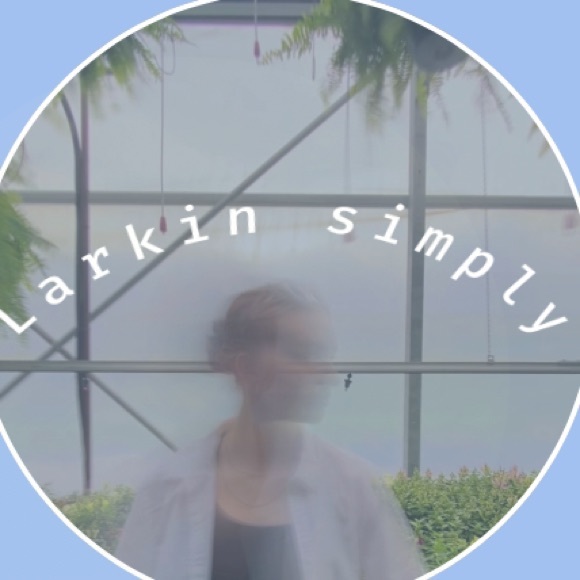 lark_nsimply